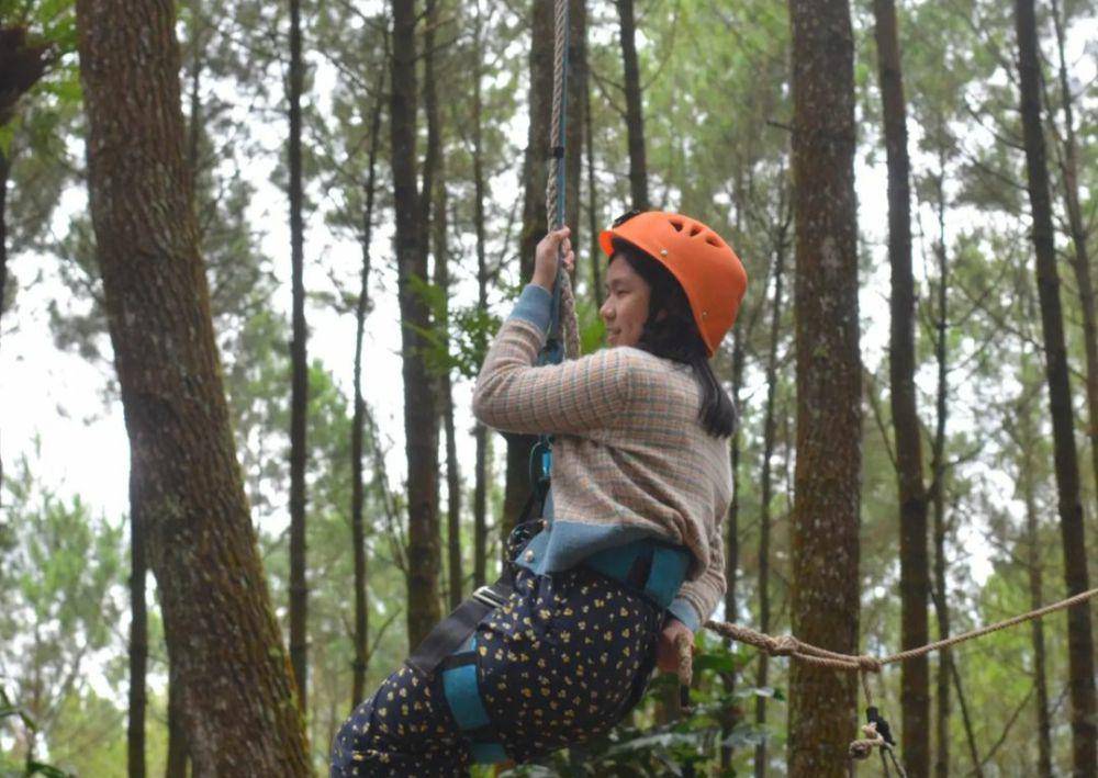 Kampung Pinus Keditan(instagram.com/kampungpinuskeditan)