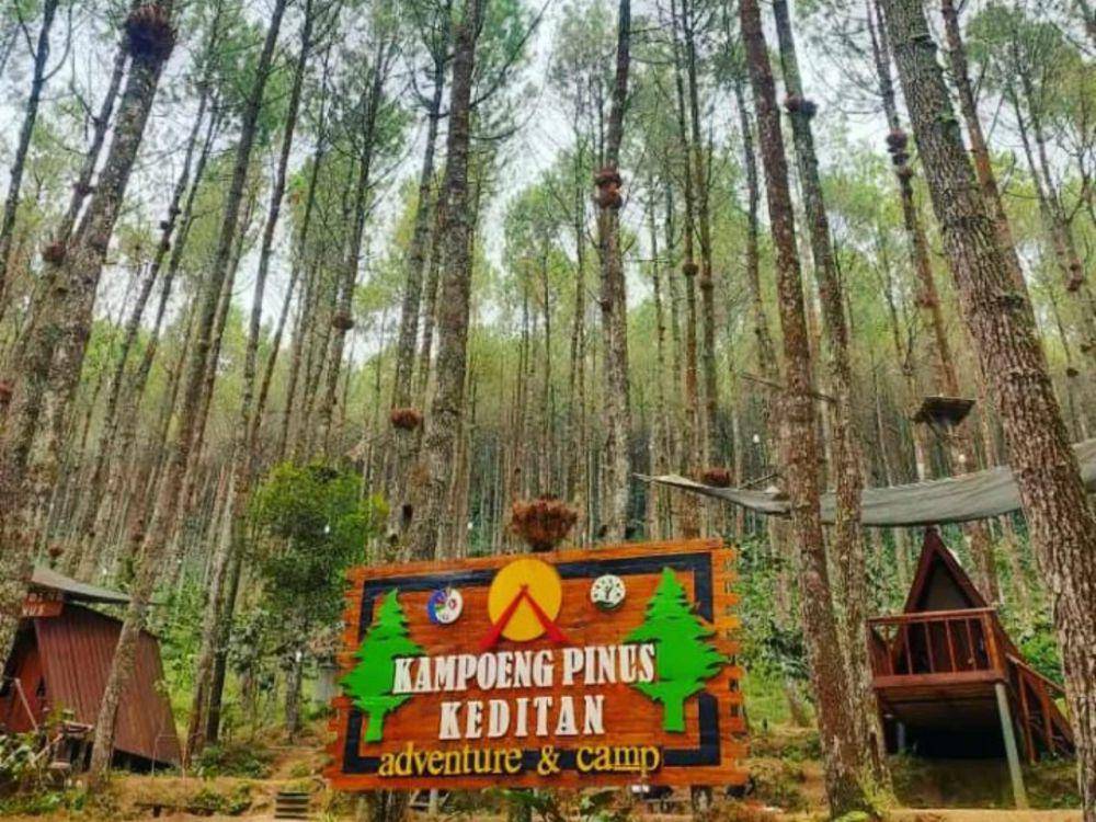 Kampung Pinus Keditan(instagram.com/kampungpinuskeditan)