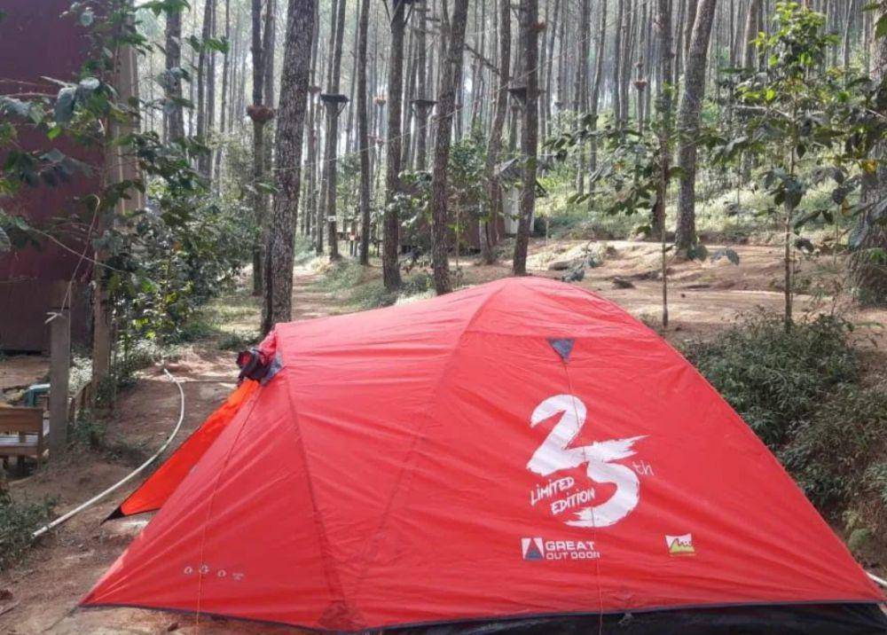 Kampung Pinus Keditan(instagram.com/kampungpinuskeditan)