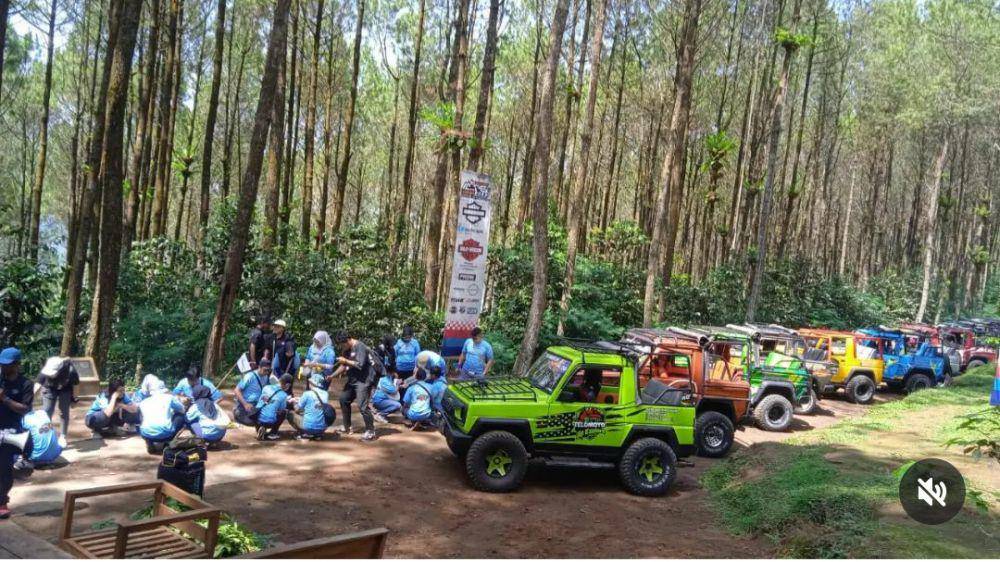 Kampung Pinus Keditan(instagram.com/kampungpinuskeditan)
