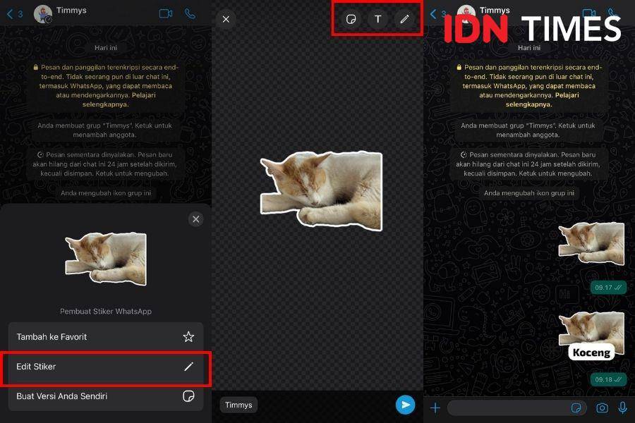 ilustrasi membuat stiker WA di iPhone (IDN Times/Laili)