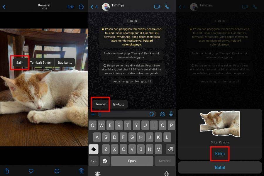 ilustrasi membuat stiker WA di iPhone (IDN Times/Laili)