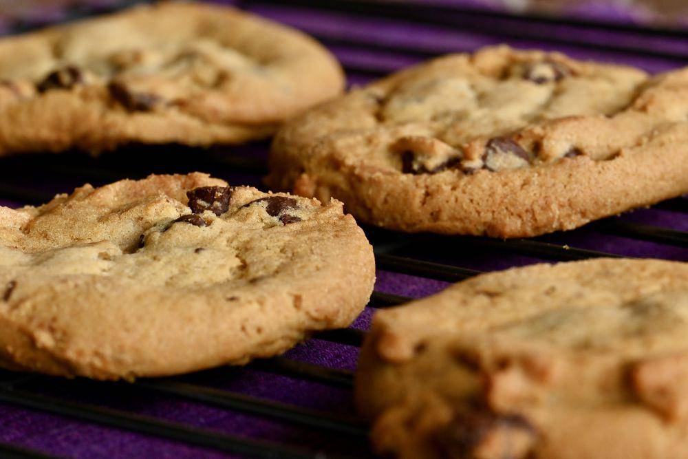 ilustrasi choco chips cookies (Pixabay/Dmarr515)