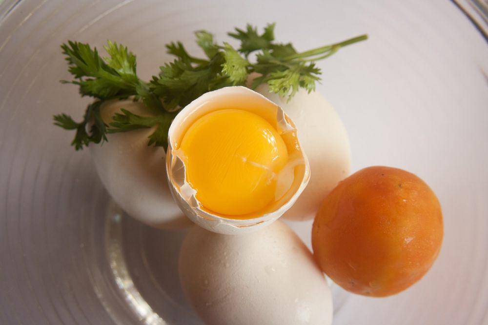 kuning telur (pixabay.com/PDPics)
