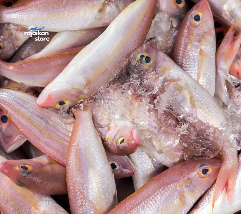 5 Rekomendasi Tempat Belanja Ikan Laut Segar di Jogja