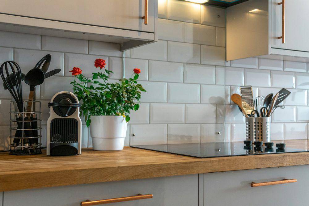 ilustrasi menambahkan tanaman ke dapur (unsplash.com/Mitchell Henderson)