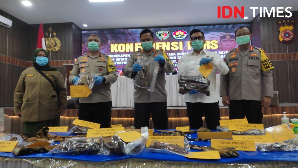 Polisi Tangkap 2 Penjual Kulit dan Tulang Belulang Harimau Sumatra
