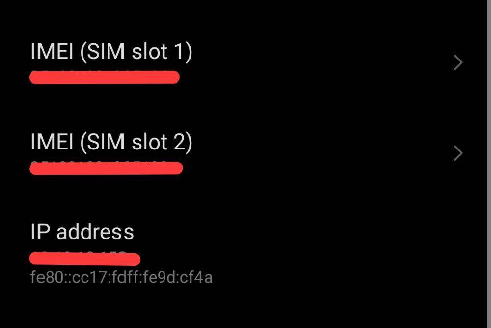 kode IMEI pada pengaturan di HP (Dok. Pribadi/Muti'ah Nur Rahmah)