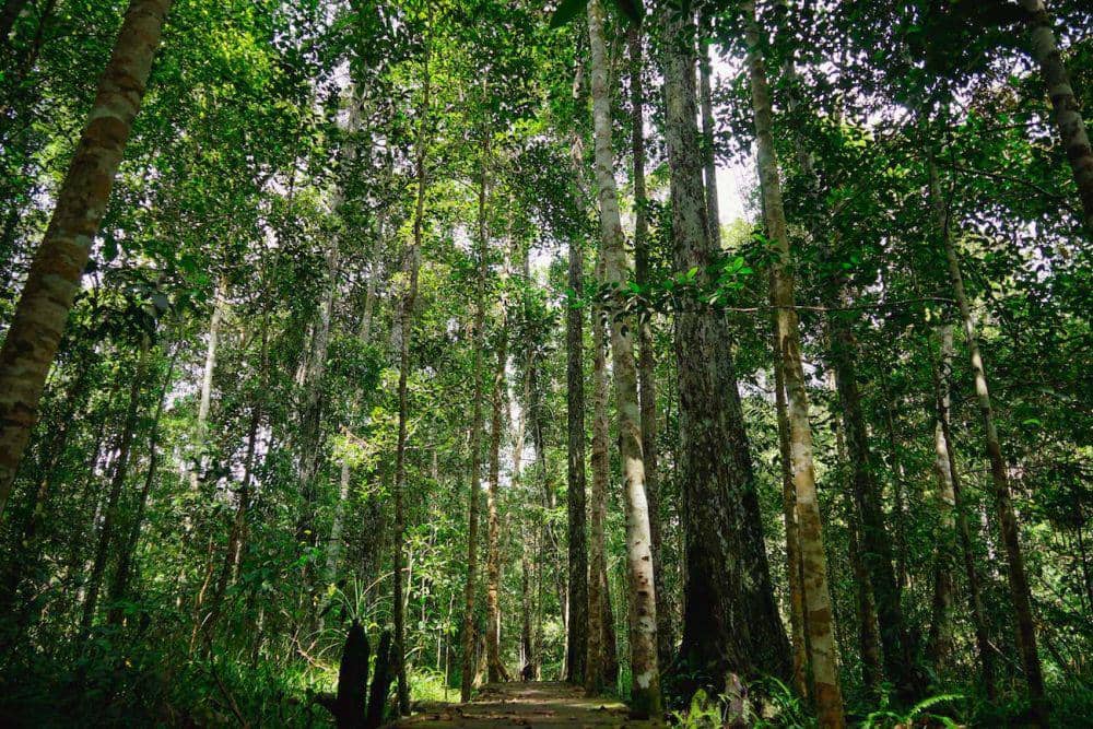 Apresiasi dan harapan RMU setelah meraih penghargaan Indonesia’s SDGs Award 2023 (Dok. RMU)