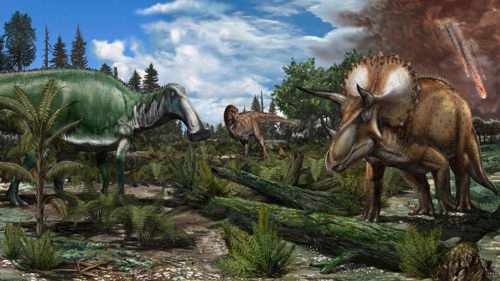 habitat dinosaurus (www.livescience.com)