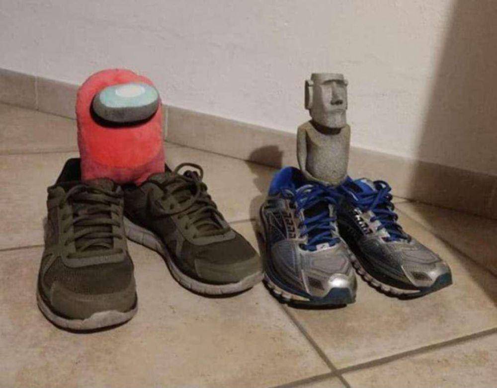 foto random dan kocak soal sepatu (reddit.com/user/Cambouis)