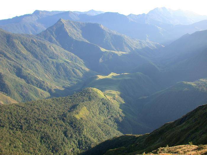 Eksotisme alam di Papua Nugini. (eurekalert.org/John Slapcinsky)