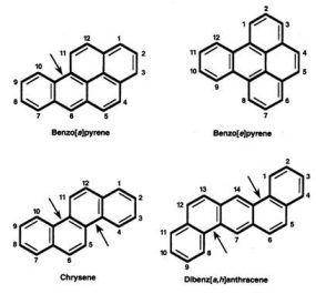 Policyclic Aromatic Hydrocarbons (PAHs) (atsdr.cdc.gov)