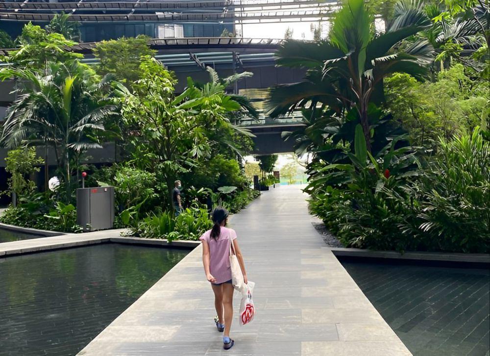 9 Tempat Jogging di Singapura, Badan Tetap Bugar selama Liburan