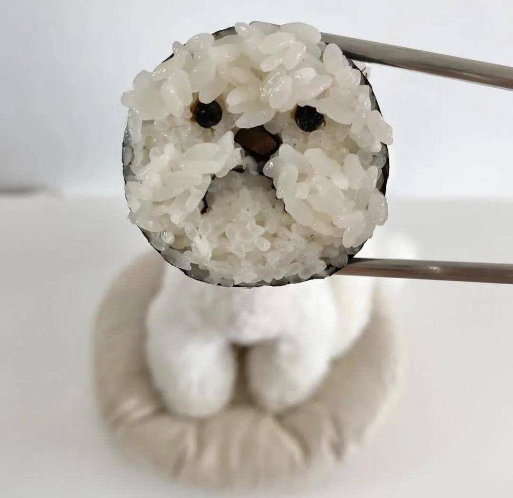 potret hal aneh dan kocak soal sushi (reddit.com/user/Harvickfan4Life)