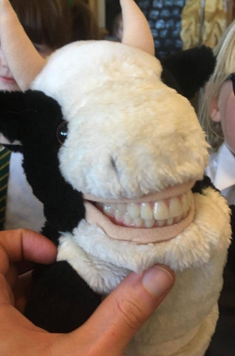 potret mainan bocil yang gak ramah untuk anak kecil (reddit.com/user/garsterpee)