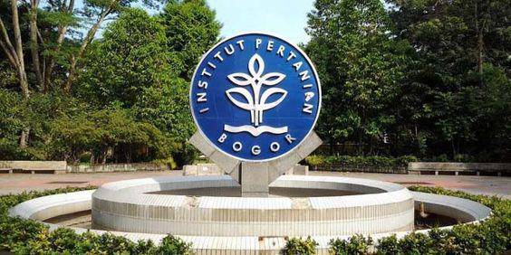 ilustrasi logo Institut Pertanian Bogor. (Pinterest.com)