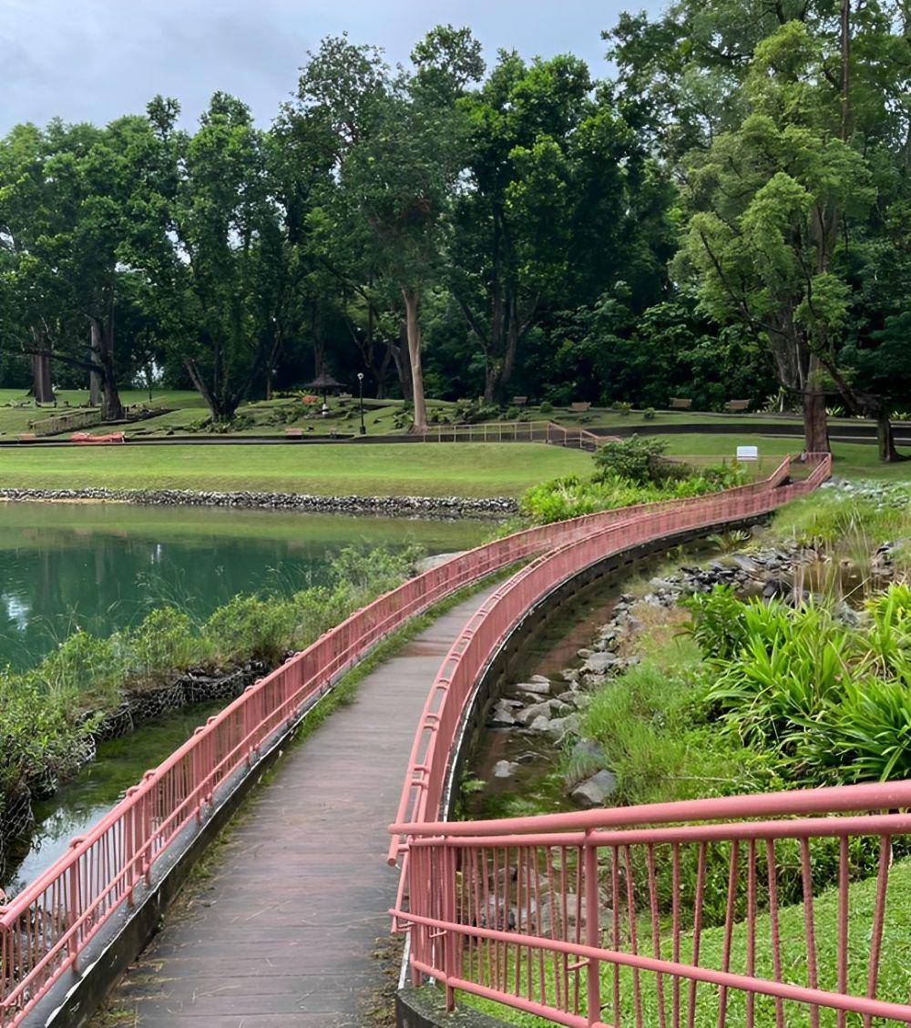MacRitchie Reservoir, Singapura (instagram.com/beautiful_place_to_go)