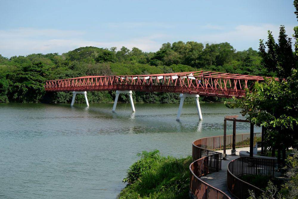 Lor Halus Bridge, Singapura (google.com/maps/Peter Chong)