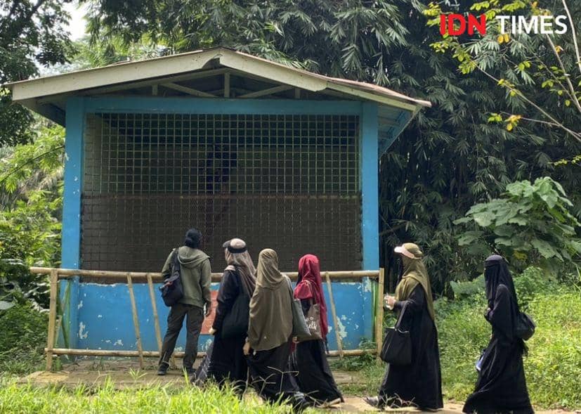 Influencer Medan memberikan makanan dan penyimpanan makanan serta melakukan aksi bersih-bersih di Medan Zoo (IDN Times/Indah Permata Sari)