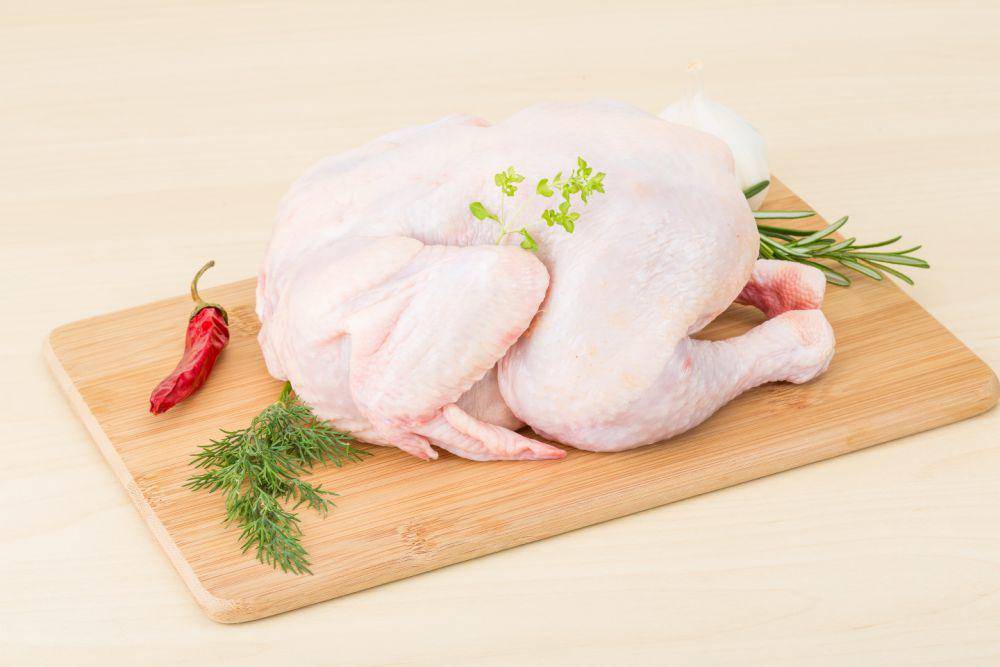 ilustrasi daging ayam (vecteezy.com/Andrey Starostin)