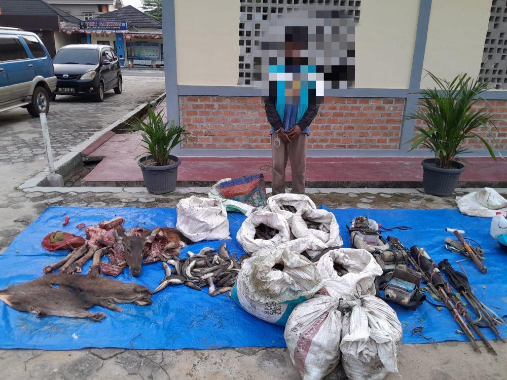 Pemburu Liar Hutan Way Kambas Tertangkap Basah, 1 Diringkus 5 Kabur