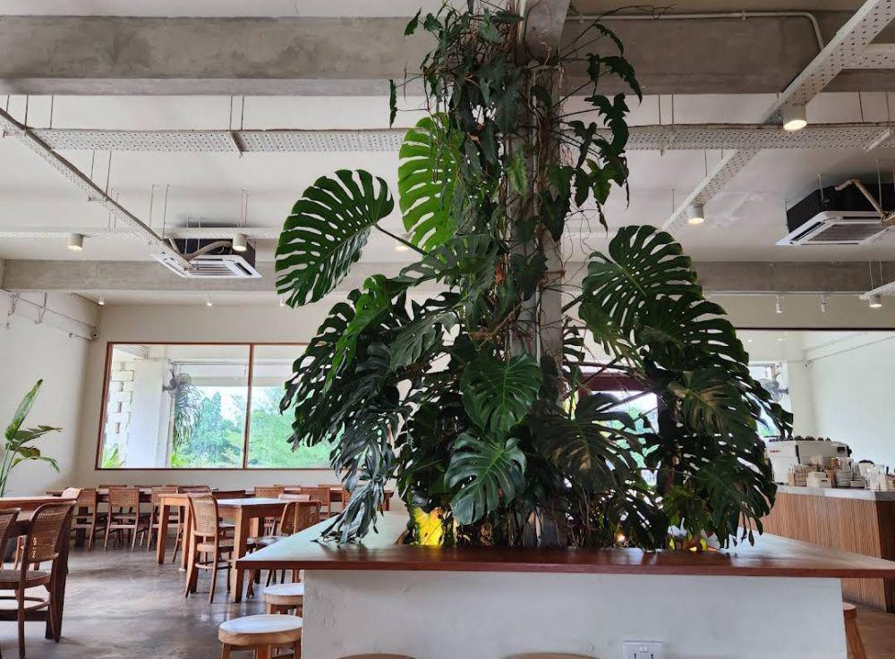 5 Rekomendasi Kafe di Batam yang Cocok buat Hangout Seru Bareng Teman