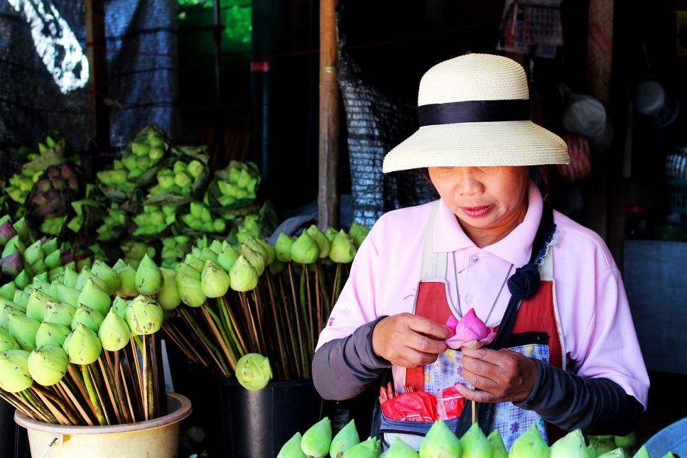 Ilustrasi bunga di Chiang Mai (pixabay.com/eeginasphotos)