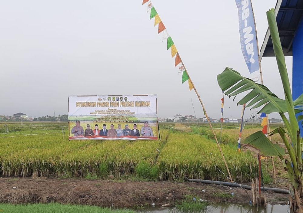 Tingkatkan Produksi, Petani di Banjarmasin Diimbau Tanam Padi Unggul