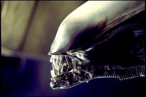 Alien (dok. 20th Century Fox / Alien)