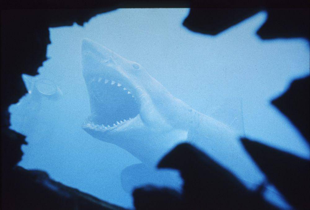 Jaws (dok. Universal Pictures / Jaws)