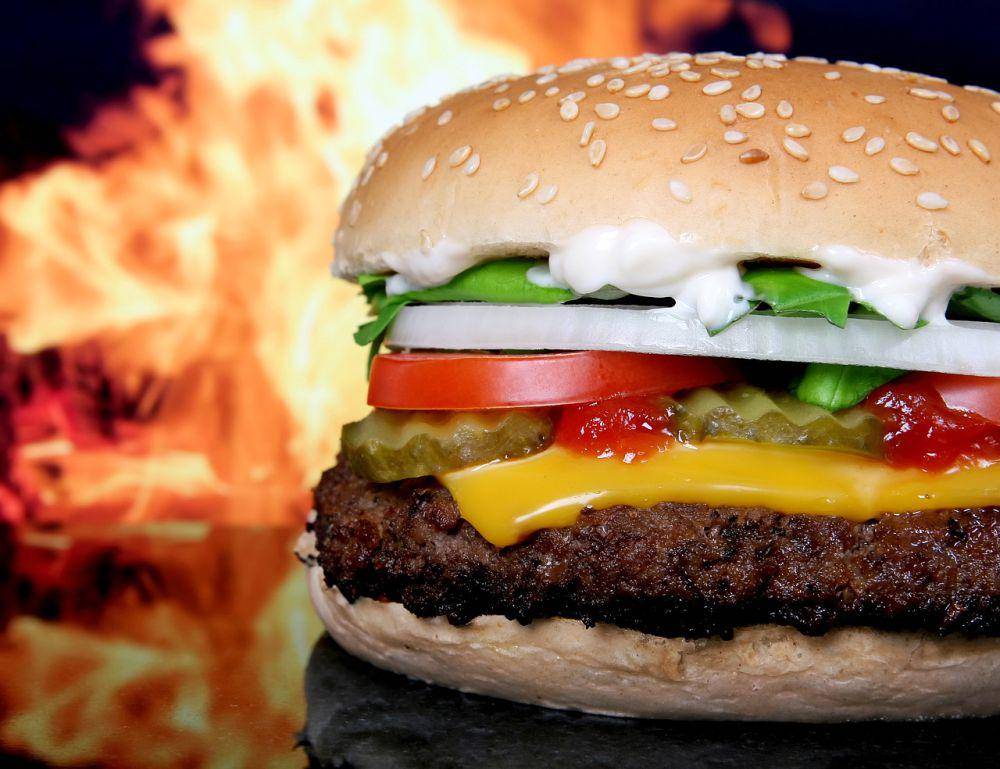 ilustrasi burger (pixabay.com/Shutterbug75)
