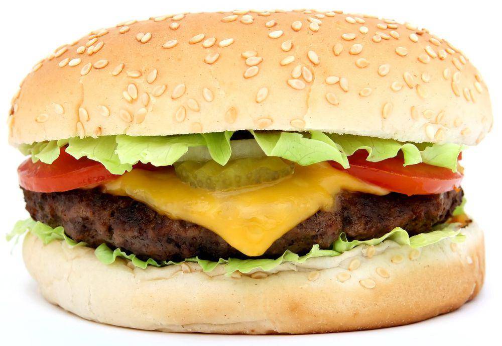 ilustrasi burger (pixabay.com/Shutterbug75)