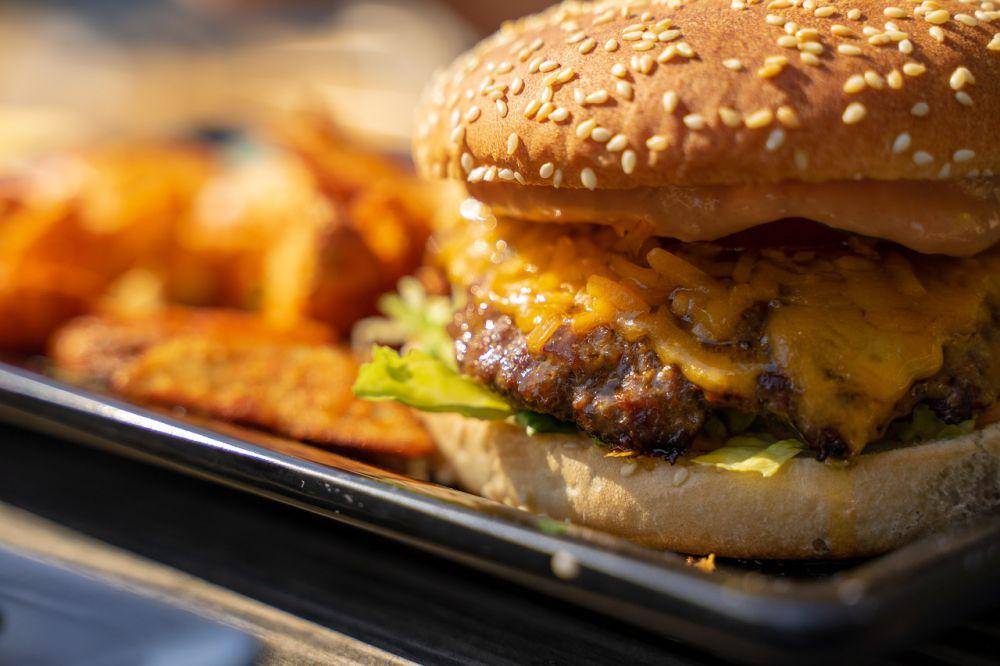 ilustrasi burger (pixabay.com/ThorstenF)