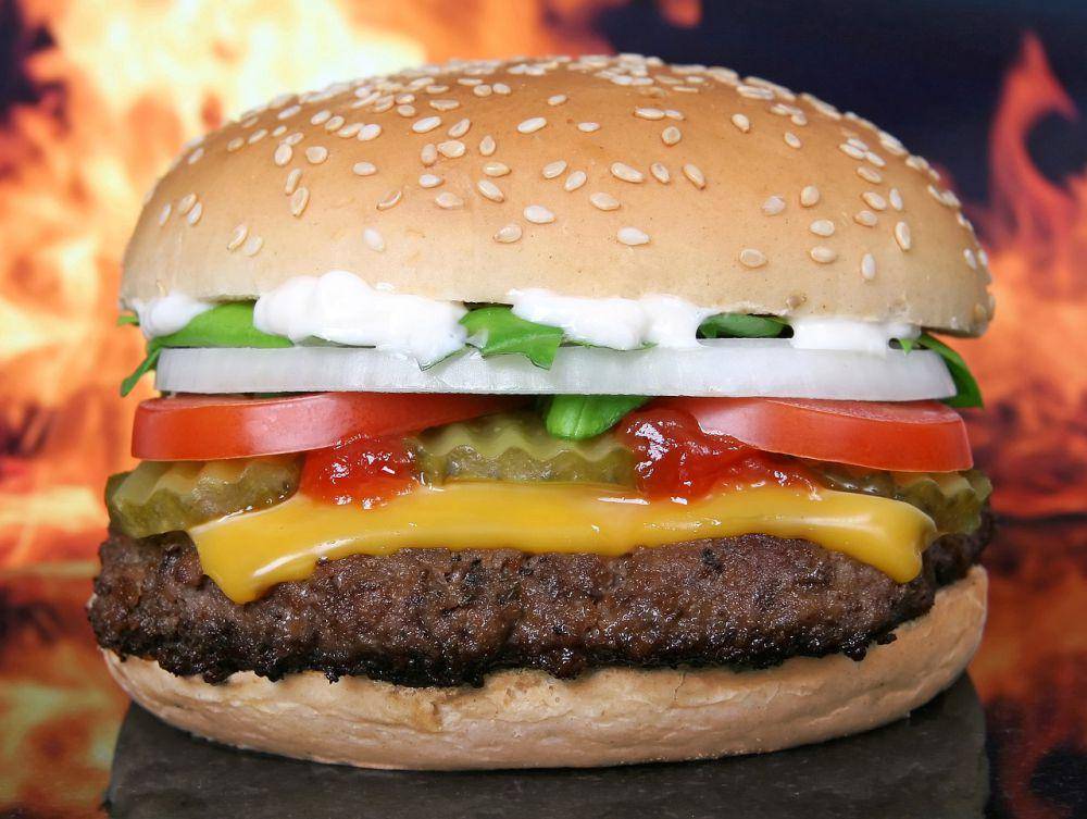 ilustrasi burger (pixabay.com/Shutterbug75)