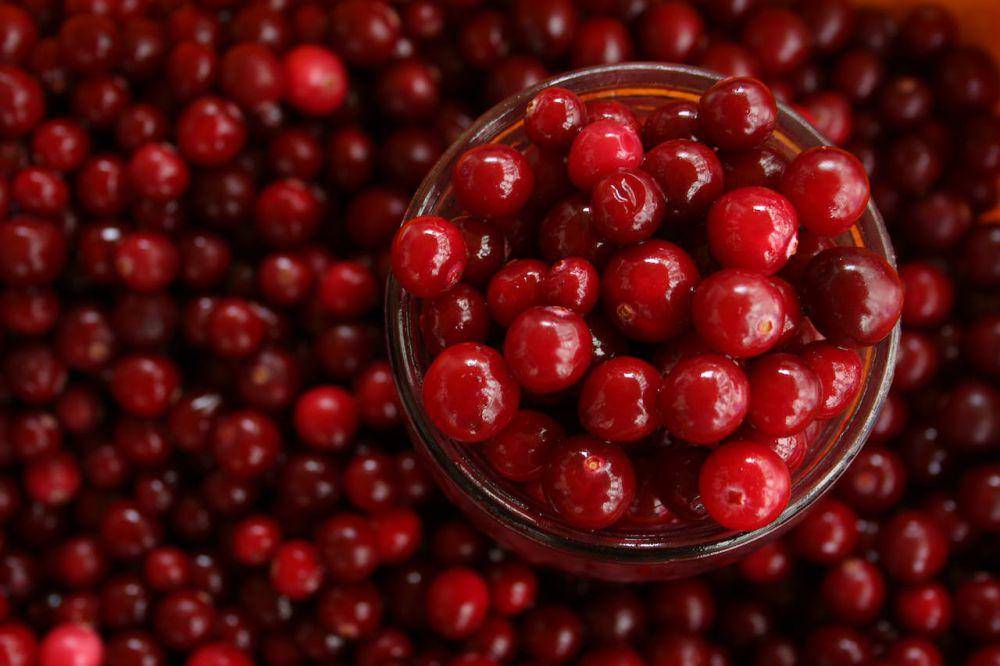 ilustrasi cranberry (pexels.com/Irita Antonevica)