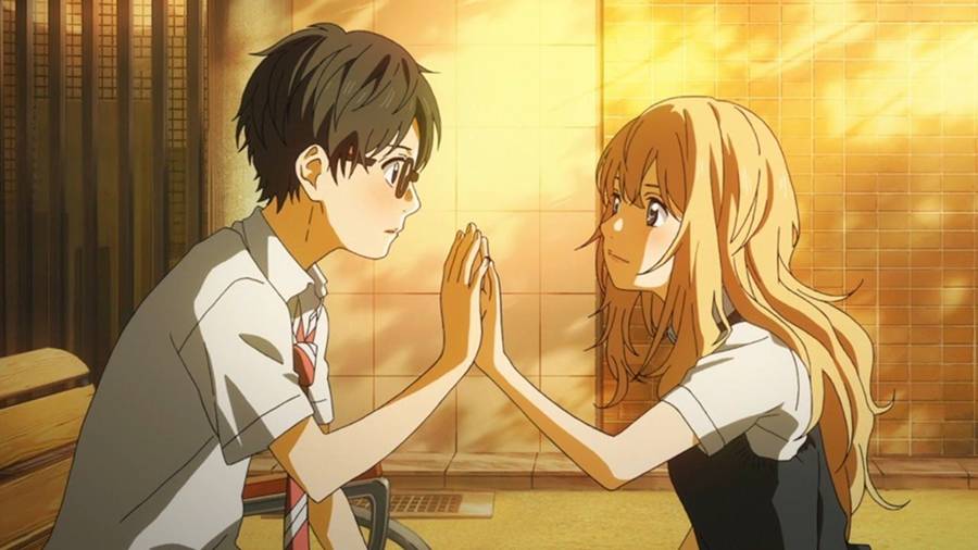 dok. Studio A-1 Pictures/ Your Lie in April