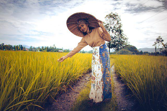 10 Aktivitas Bertani Padi dalam Bahasa Jawa, Pernah Dengar Ndaut?