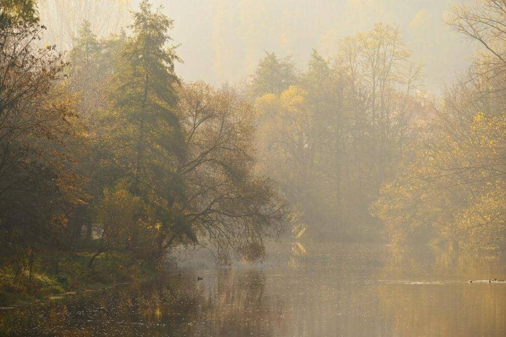 [PUISI] Teduh Embun Pagi