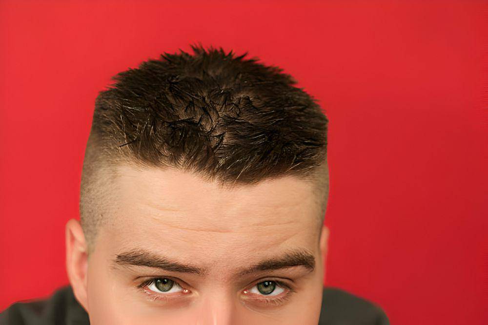 ilustrasi crew cut (istockphoto.com/theprint)