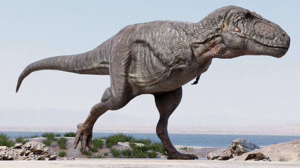 Ilustrasi Tarbosaurus (twitter.com/J The Shortest King)