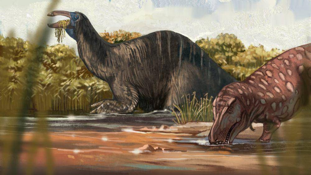 Ilustrasi Tarbosaurus minum di sungai ditemani Deinocheirus (twitter.com/“Stegotitanus” insomnus)