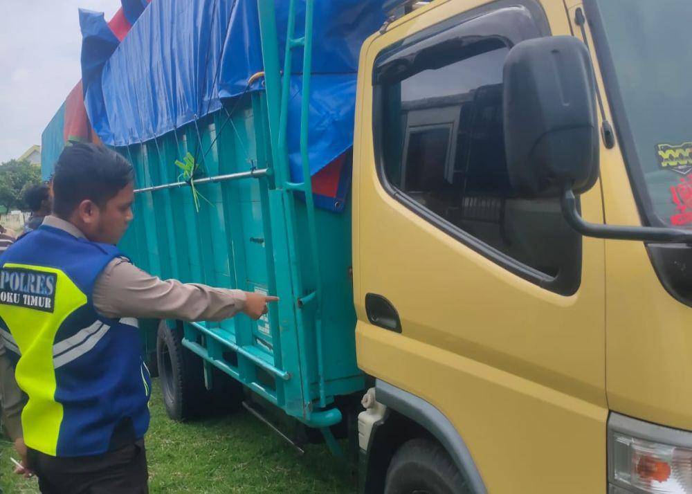Ilustrasi truk. Kecelakaan di OKU Timur melibatkan motor dan truk hingga satu orang meninggal dunia dan dua orang lainnya mengalami luka (Dok: istimewa)