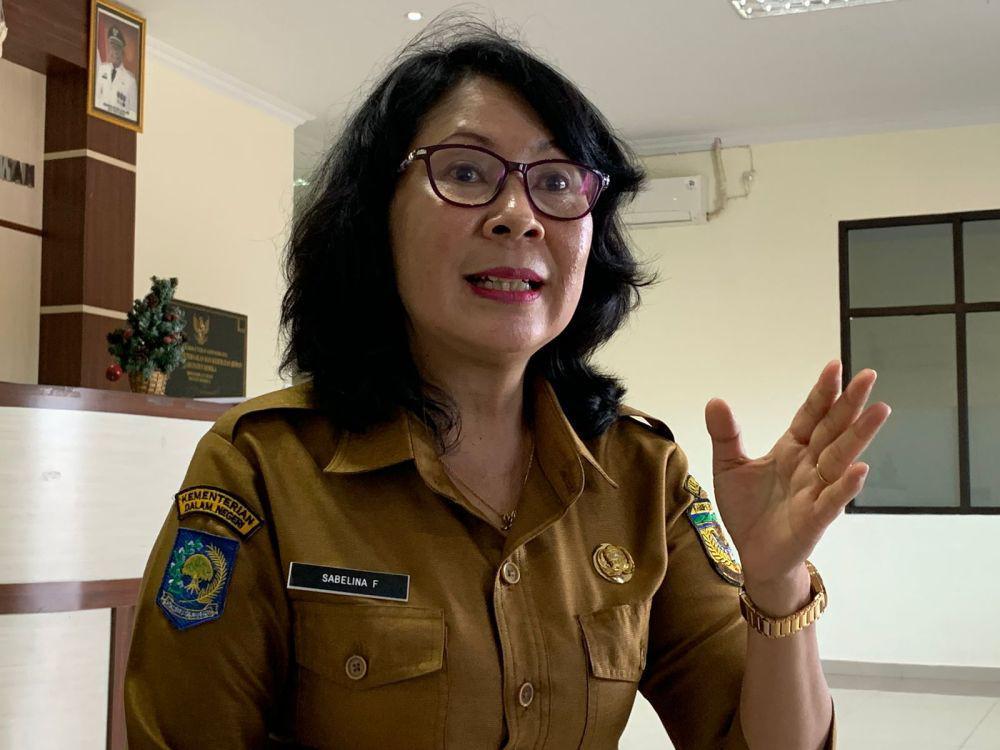 Wabah ASF Merajalela di Mimika, Jumlah Babi Mati Capai 245 Ekor