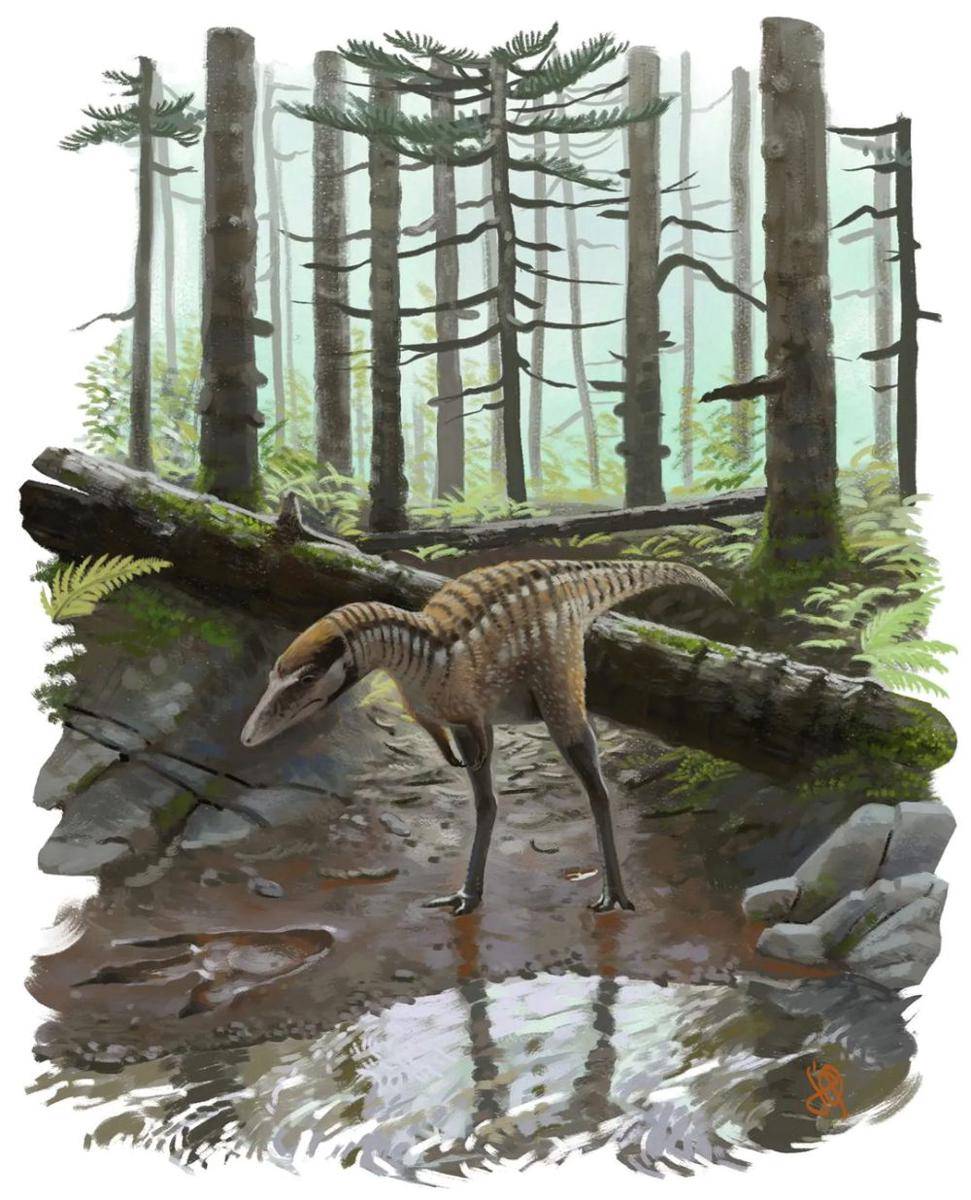 Ilustrasi anakan Tarbosaurus (instagram.com/tupandactylus)