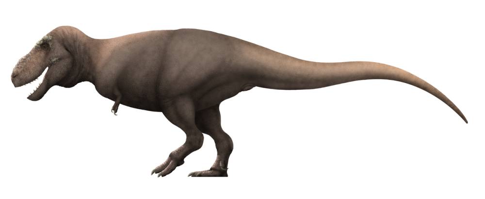 Ilustrasi Tarbosaurus (commons.wikimedia.org/PaleoNeolitic)
