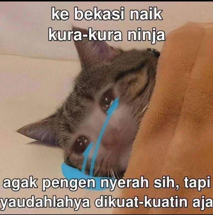 instagram.com/seru.azzzah