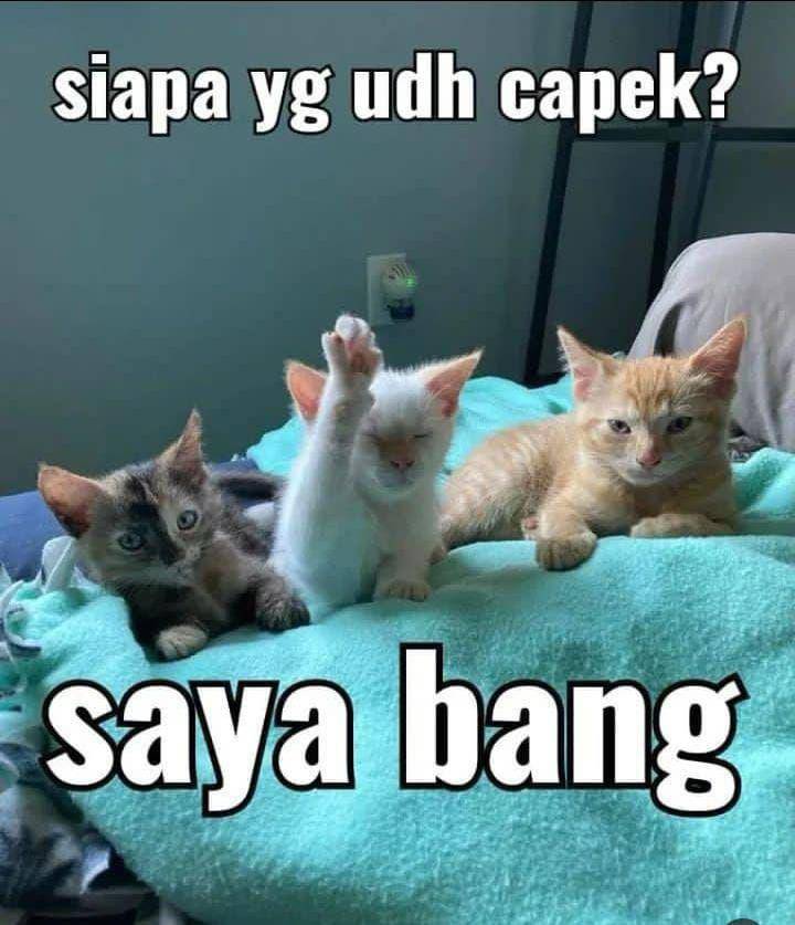 instagram.com/Yestevday