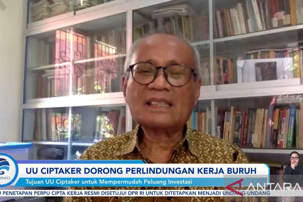 Pengamat Ketenagakerjaan dari Universitas Gadjah Mada (UGM), Tadjudin Nur Effendi (Dok, Antara)
