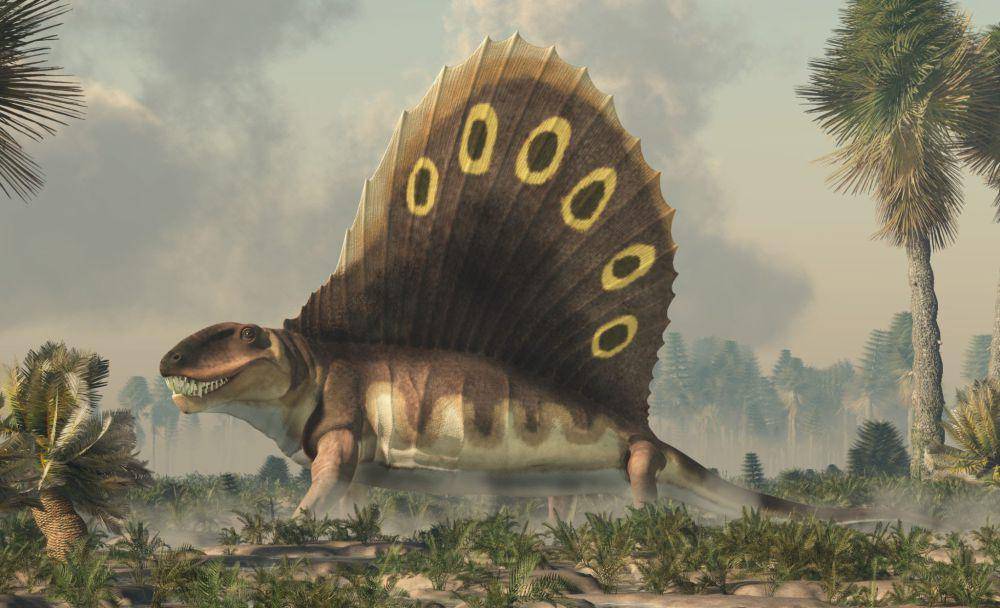 Ilustrasi Dimetrodon, synapsida yang sering dikira dinosaurus (twitter.com/Snow⁷ 💜 Autistic-coded)